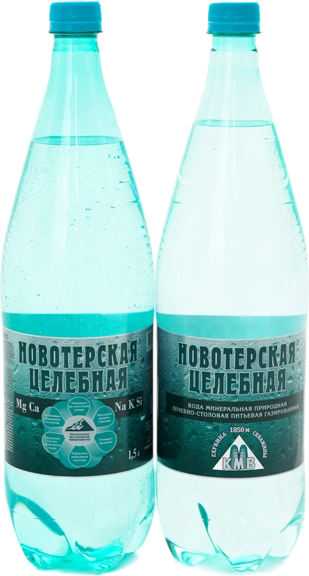 Новотерская Целебная 1,5 л, ПЭТ — две бутылки